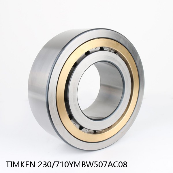 230/710YMBW507AC08 TIMKEN Full Complement Cylindrical Roller Radial Bearings