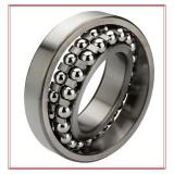 NTN 1219 Self Aligning Ball Bearings