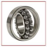 NTN 1209 Self Aligning Ball Bearings