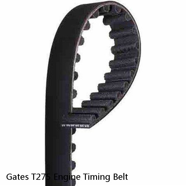 Gates T275 Engine Timing Belt